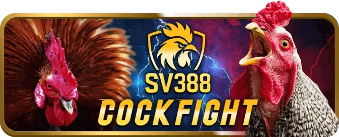 Cá cược thể thao trên W88sports